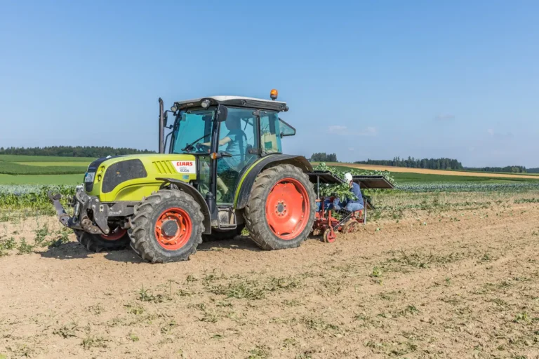 Jungpflanzen in Setzschalen auf dem Biohof Knaus, biologisch vorgezogen