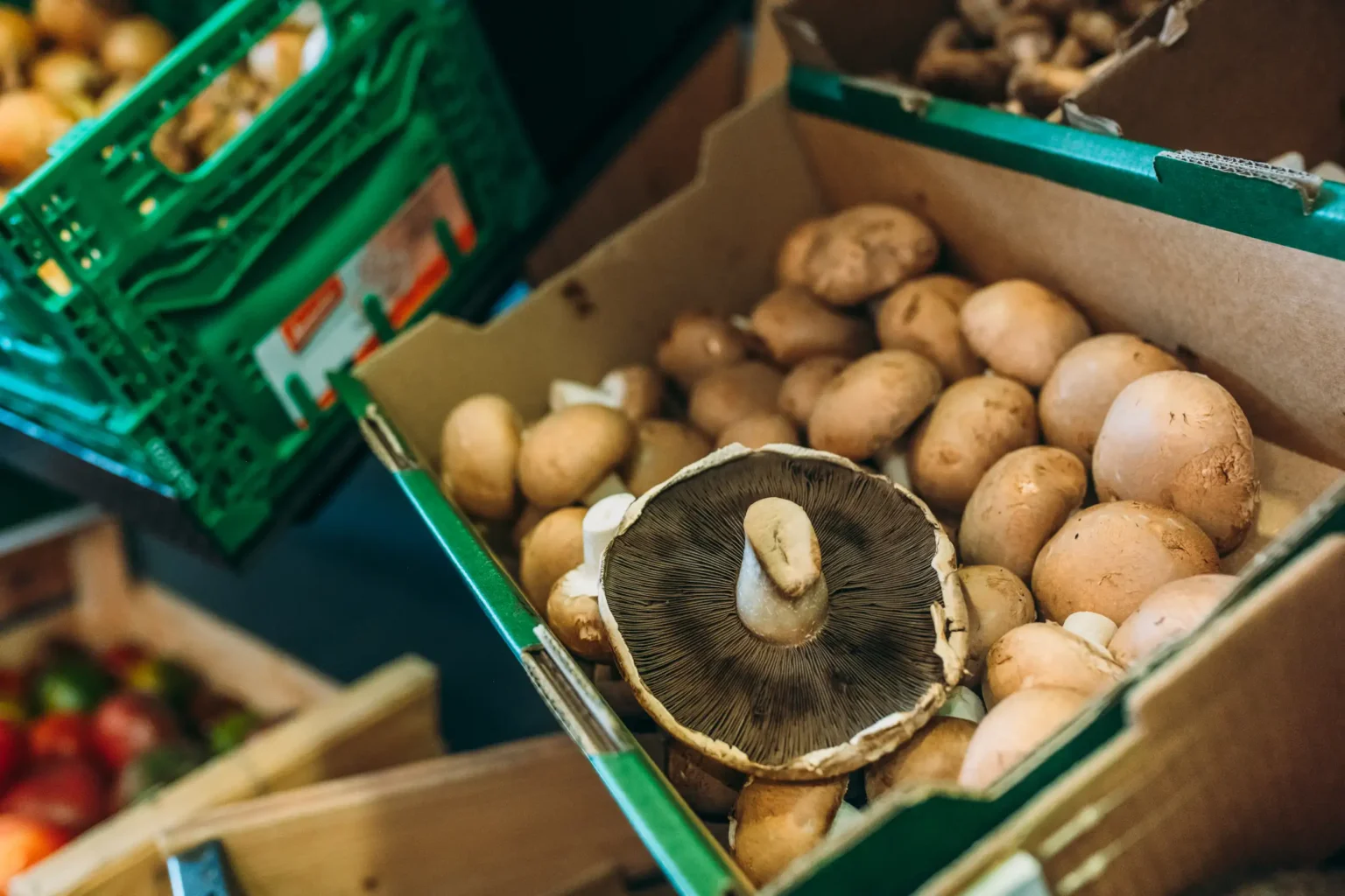 Große, frische Bio-Portobello-Pilze im Hofladen-Regal