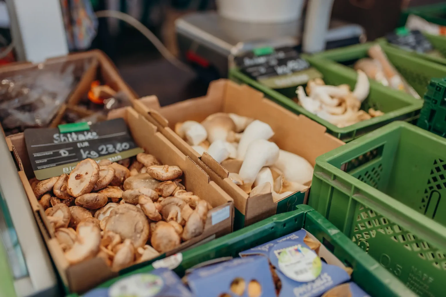 Bio-Pilze in der Auslage von Biohof Knaus