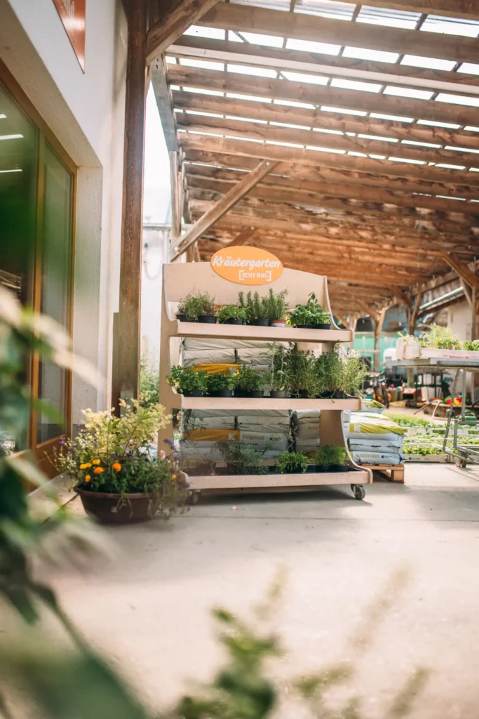 Frische Bio-Kräuter und Gartenpflanzen vor dem Hofladen